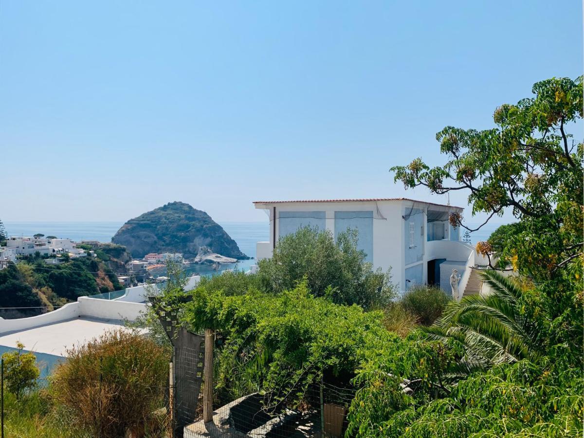 Pensione Casa Verde Sant'Angelo  Dış mekan fotoğraf